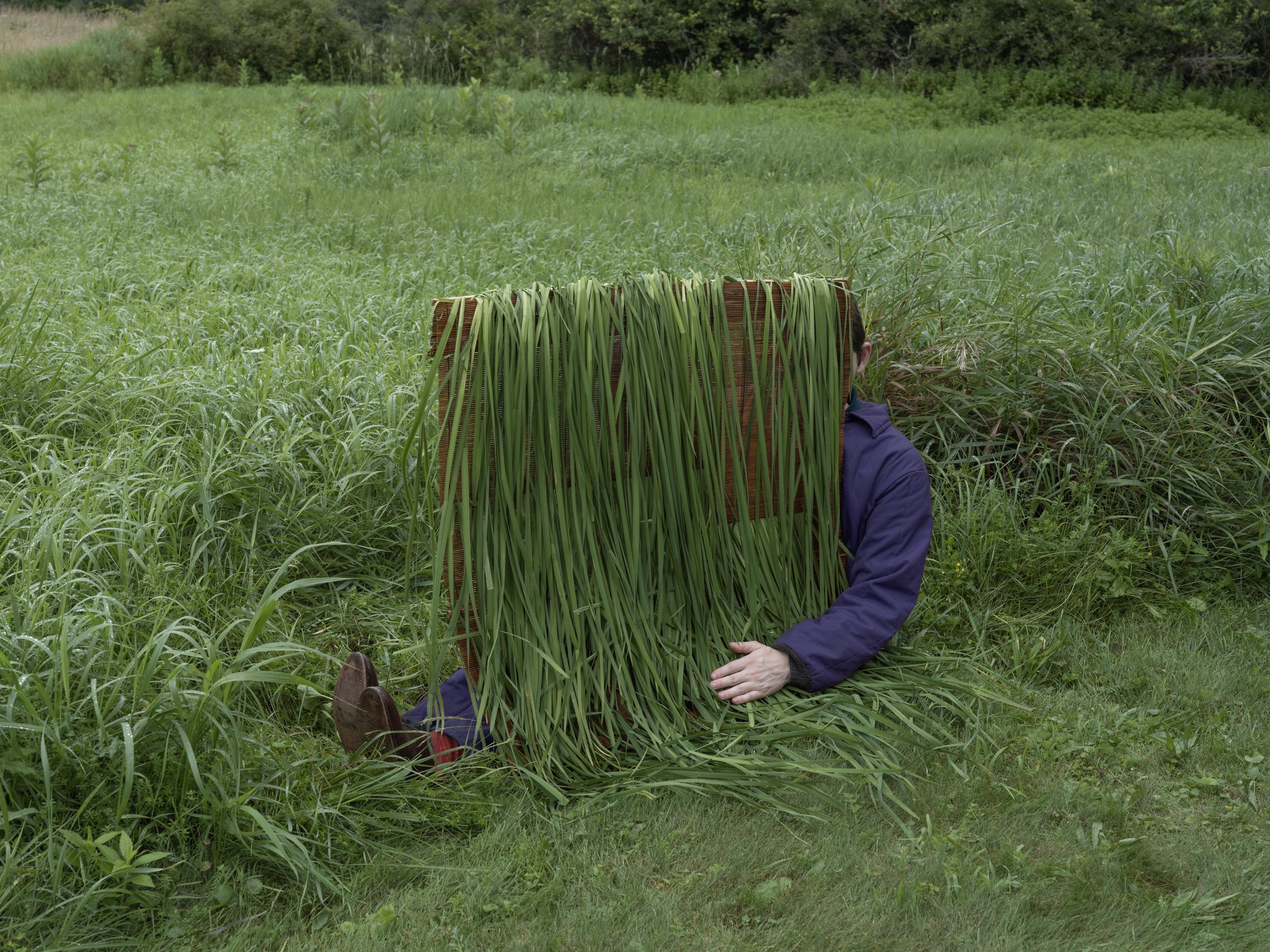 it feels like there is a wall of grass between us.jpg