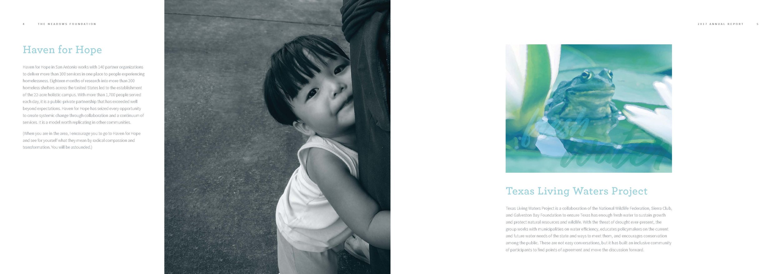 MeadowsFoundation_2017AR_DigitalSpreads_Page_05.jpg