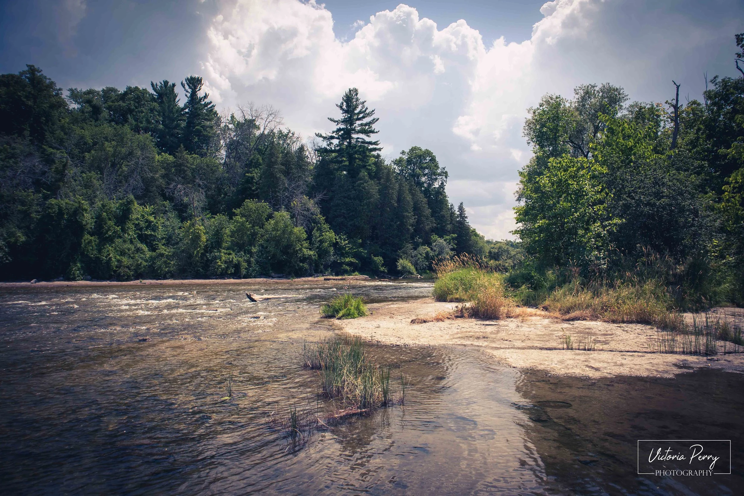 Mississippi in summer