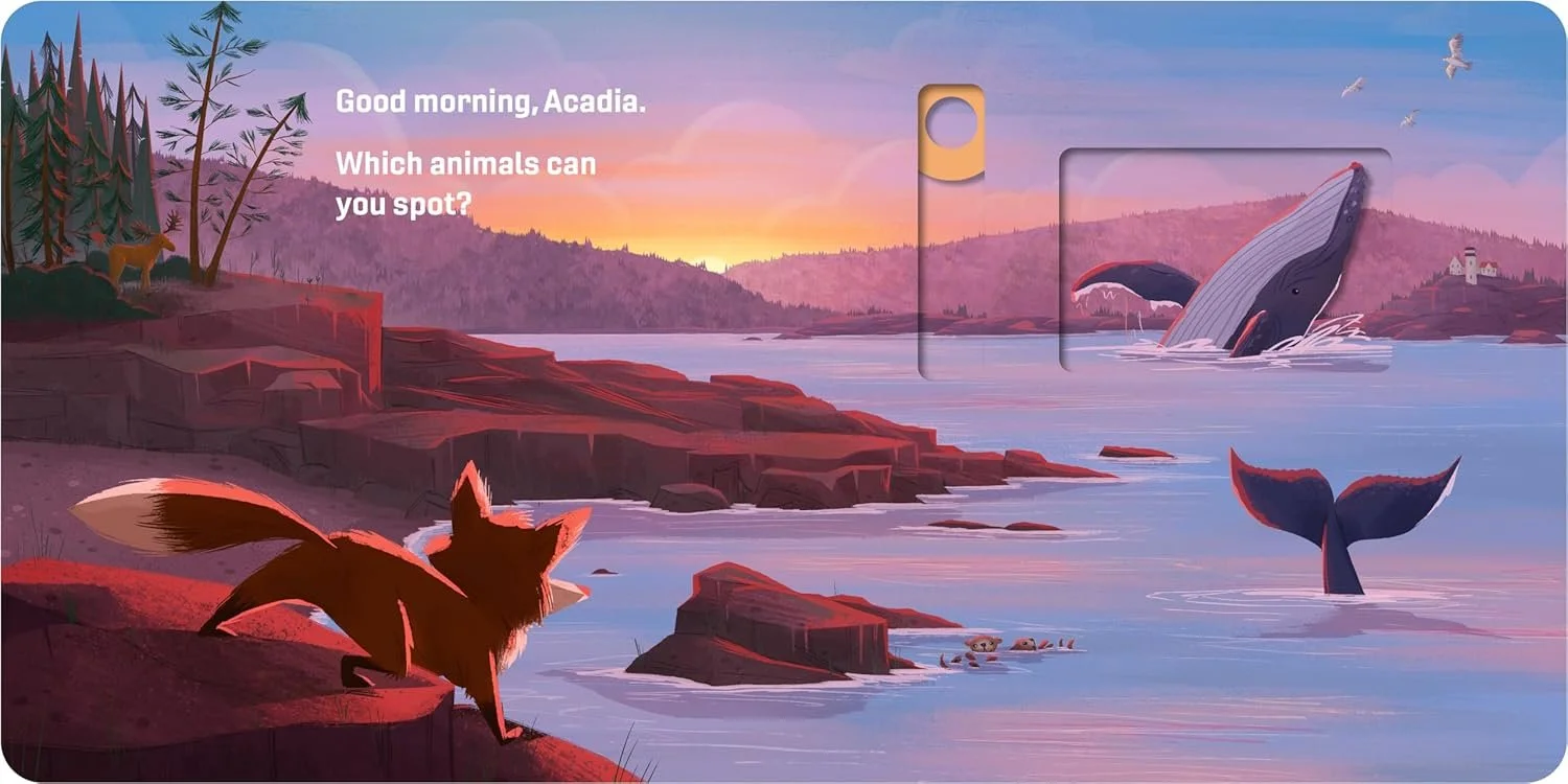 Good Morning, National Parks - Acadia National Park