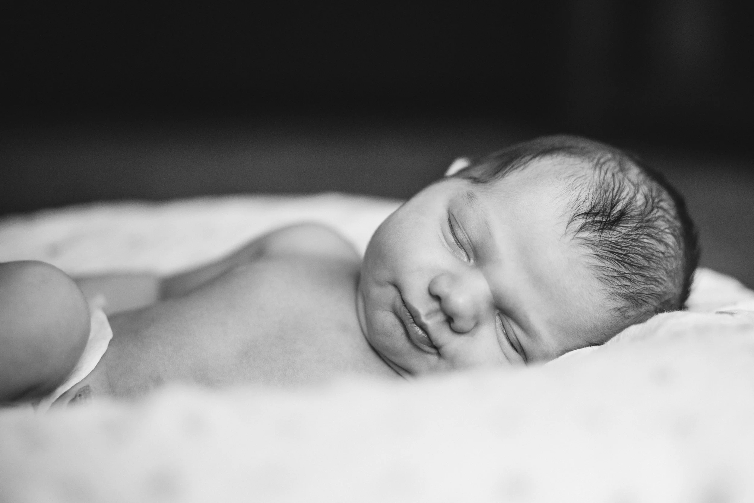 5IMG9252-Edit+anmt.jpg