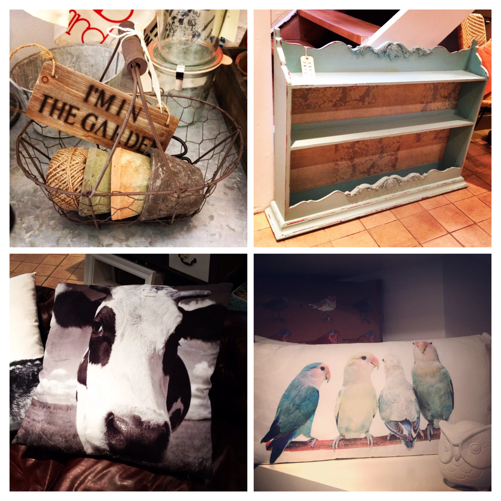 Ideal gift for gardeners, beautiful blue wall rack, extra large cow cushion and long parakeets cushion. 