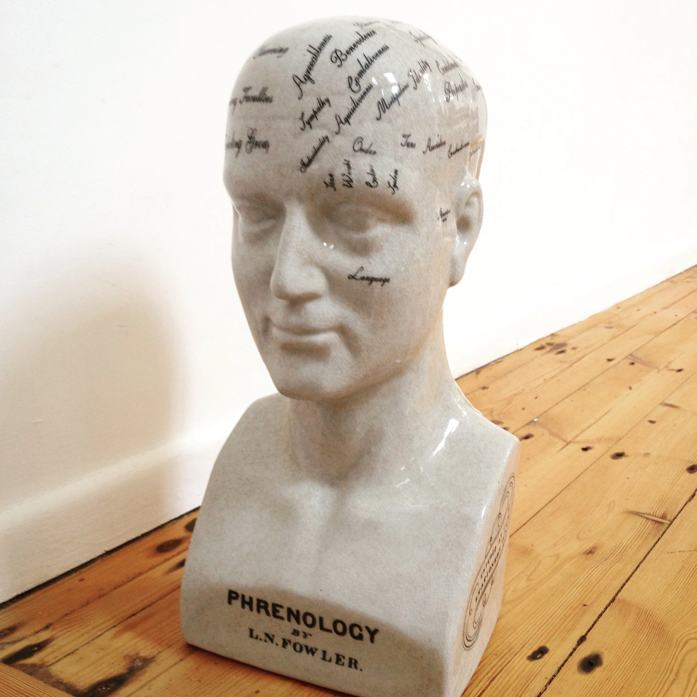 Large phrenology head 