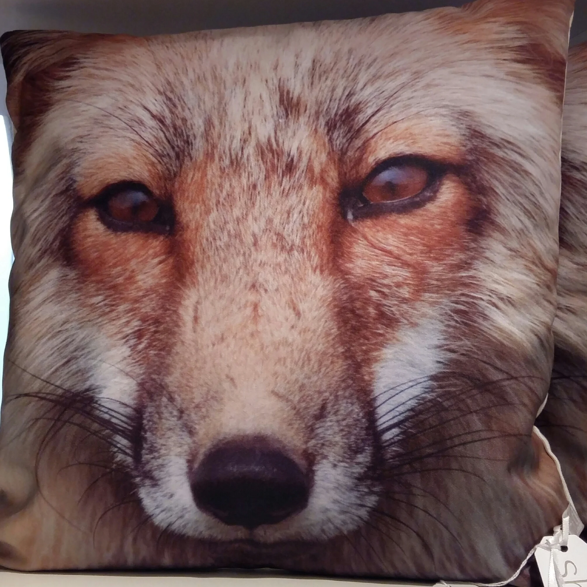Mr Fox cushions 