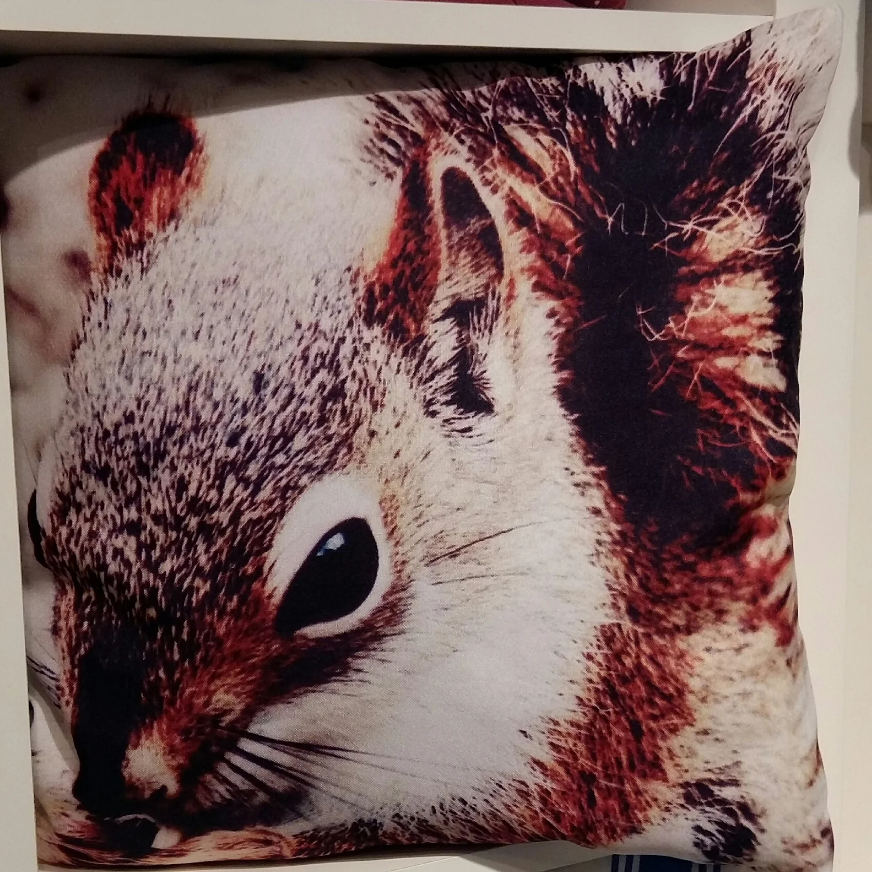 Squirrel cushion