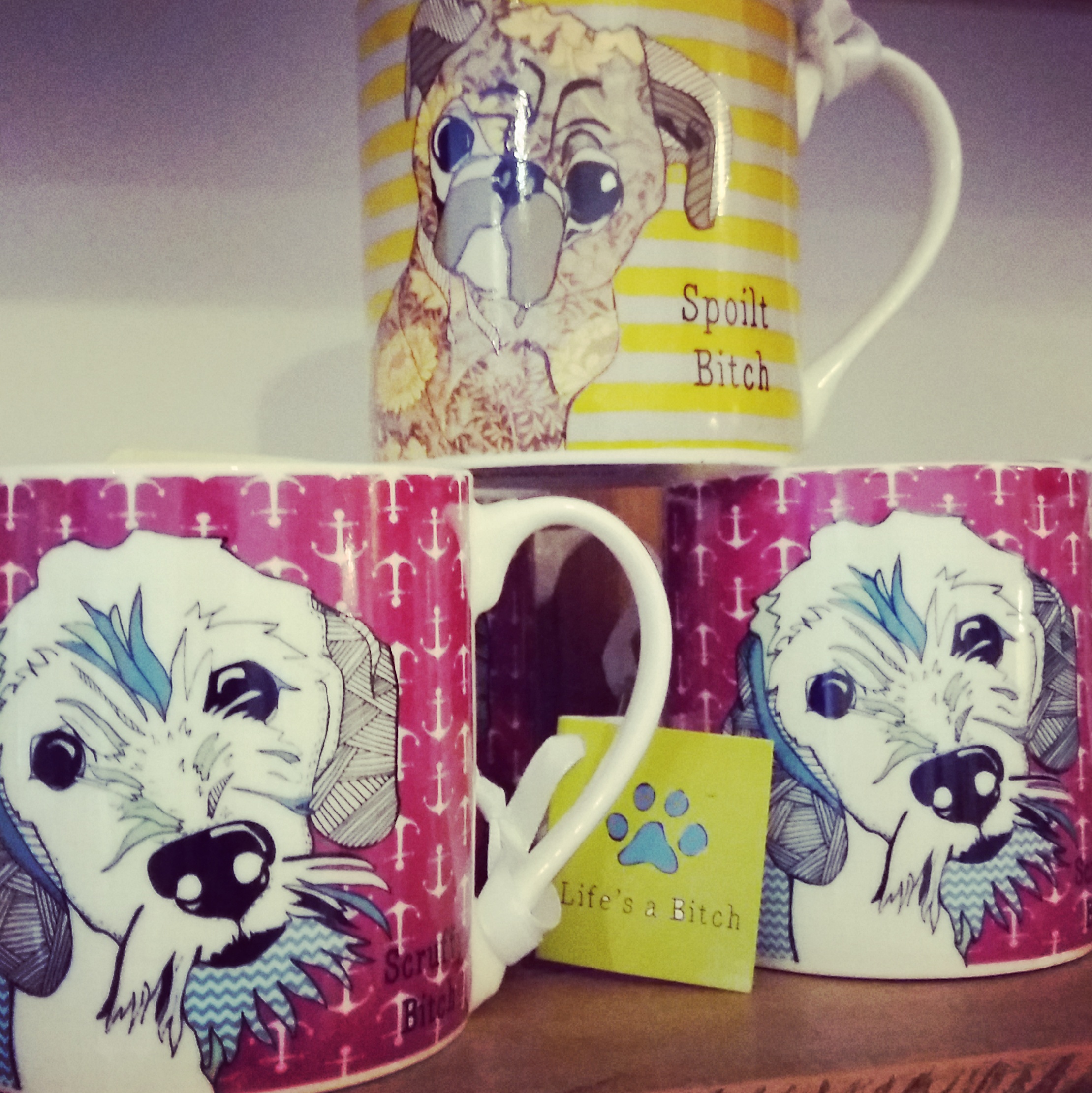 Colourful dog print mugs in two designs 'scruffy' and 'spoilt'