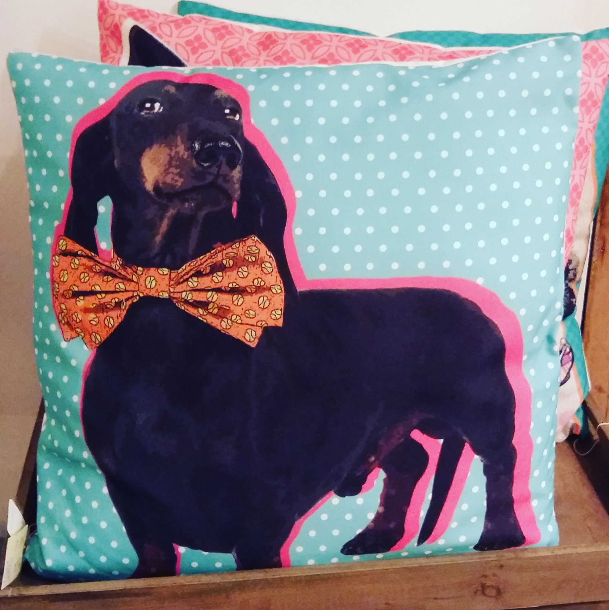 Large dog print cushion in three designs only £15 each