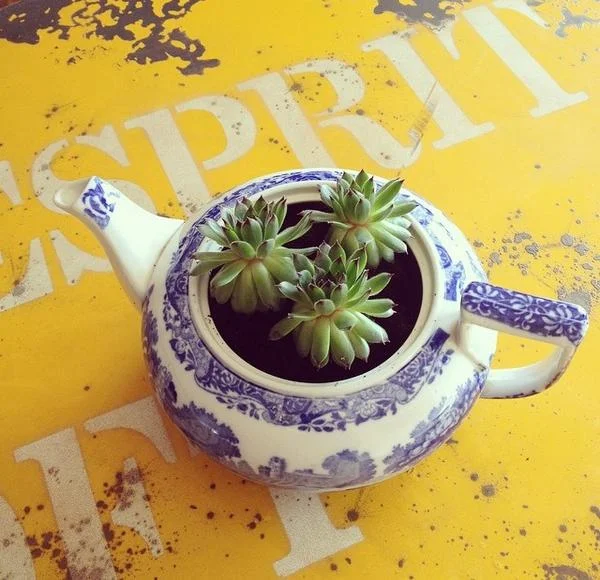 teapot.jpg