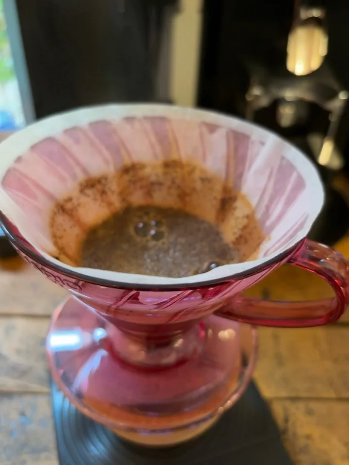 NEW FILTER - Wilton Benitez, Pink Bourbon, Colombia, (Yeast Inoculated Thermal Shock) - Pink Lemonade, Honeysuckle, Strata Hops
One of the most exciting producers in World Coffee, Wilton Benitez and Granja Paraiso 92 are at the forefront of incredib