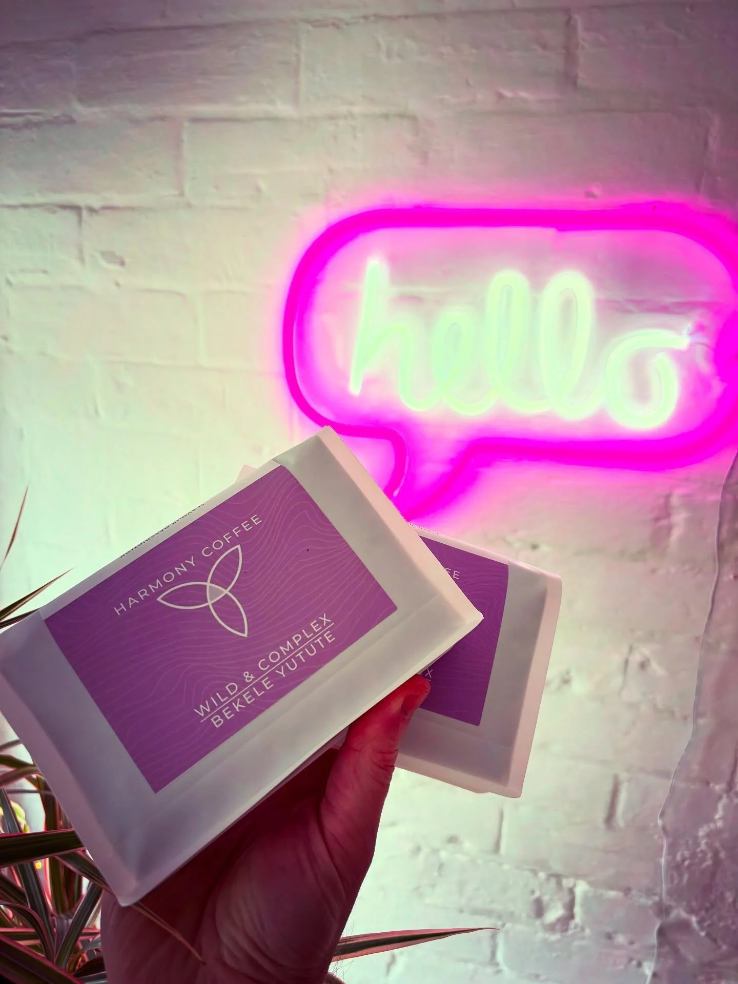 NEW GUEST ESPRESSO - Bekele Yutute, Ethiopia (Anaerobic Natural) @harmony_coffee_roaster Orange Starburst, Peach Yoghurt, Blueberry
I’ve been holding on to this one a bit longer after Ben recommended a long resting period after roasting (he wr