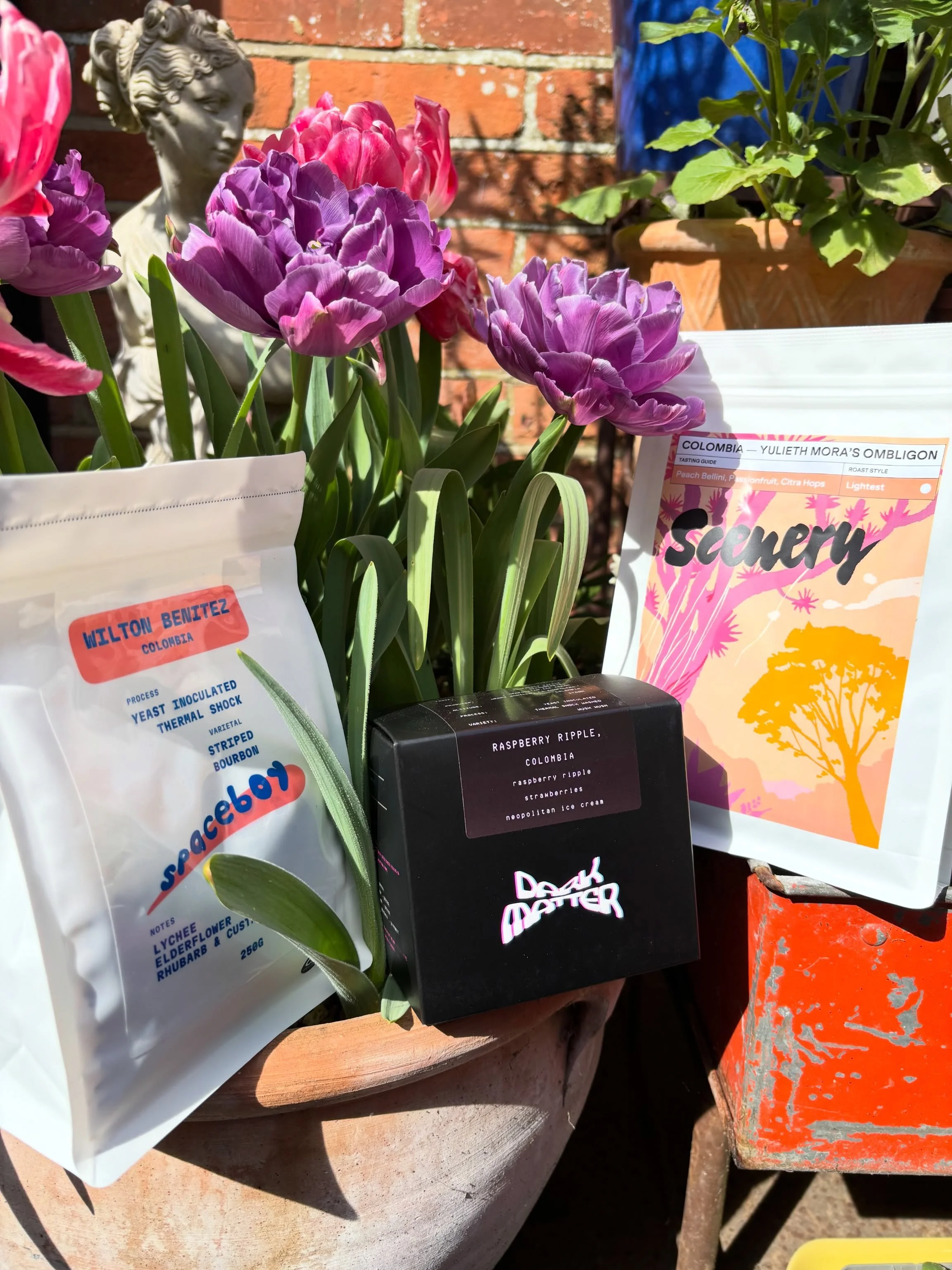 Current filter line-up has somewhat &ldquo;Yeast Inoculated Thermal Shock&rdquo; vibe totally by accident 😬😅 super coffees for sunny weather, and chance to explore how far processing can push coffee flavours. Next week I&rsquo;ve got an old favouri