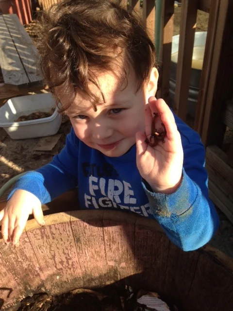 Z with the worms. 