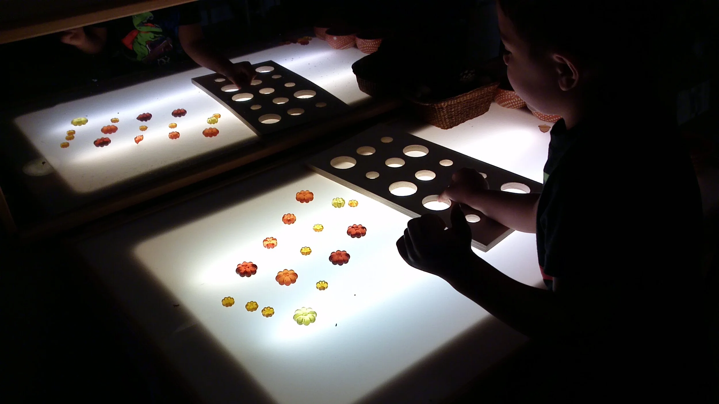 2019-2020 School Year