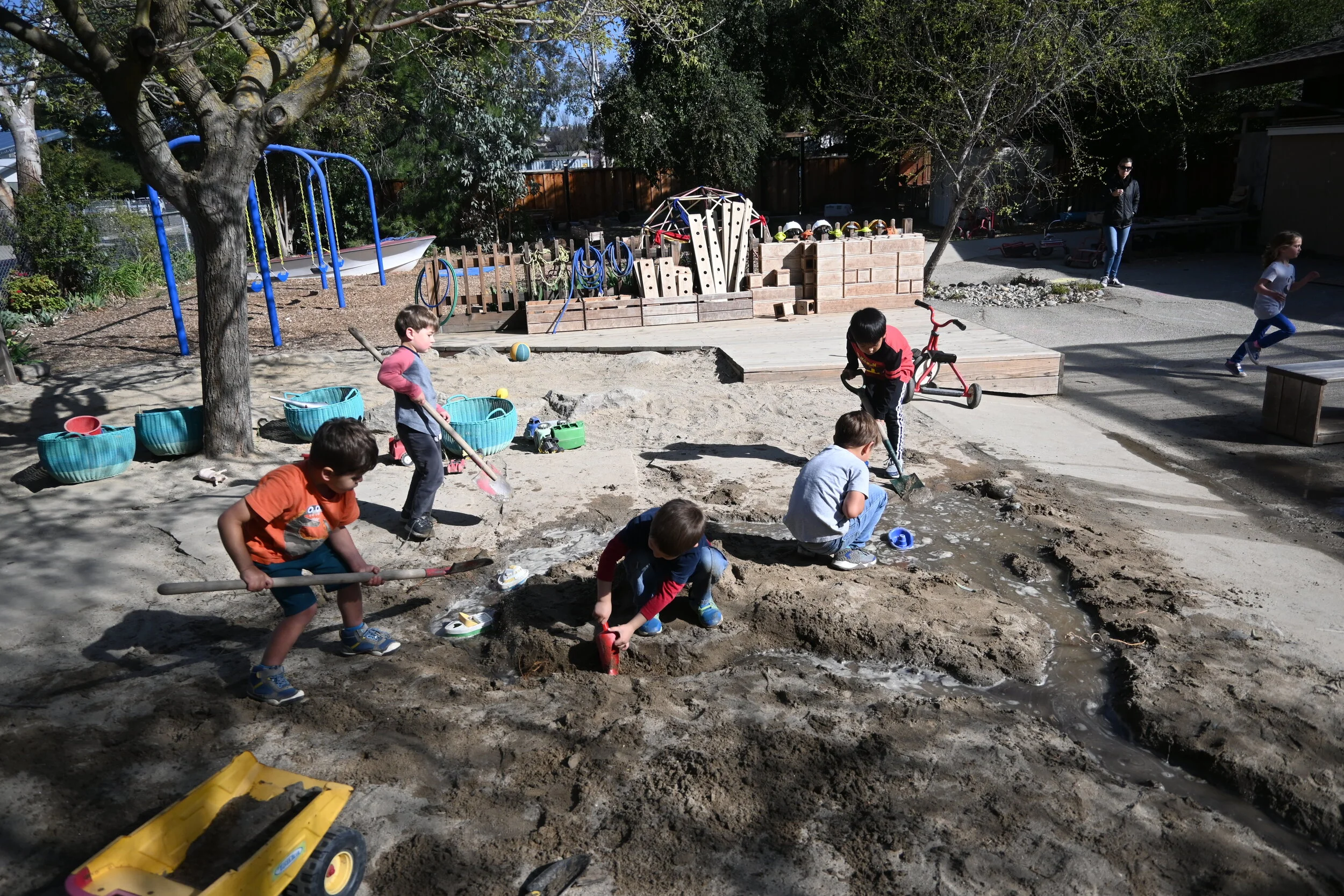 2019-2020 School Year