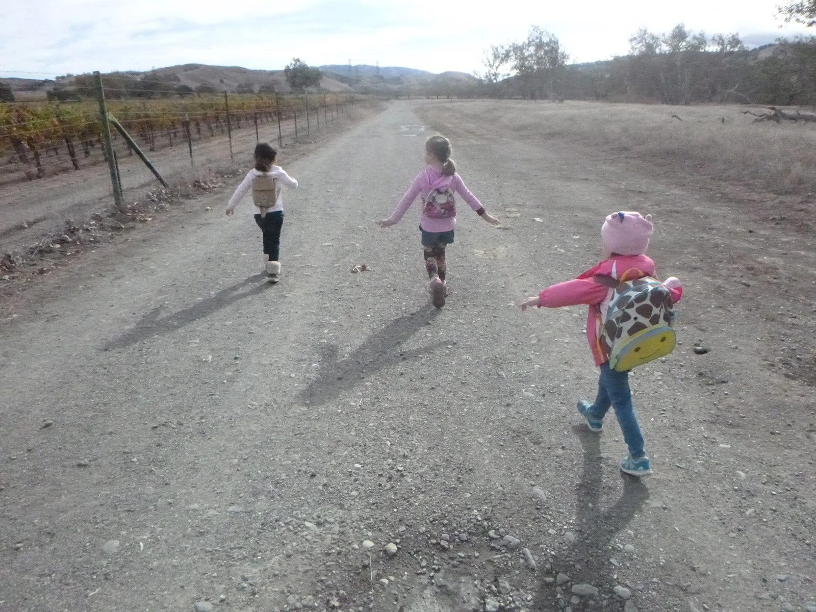 Small Group Hike