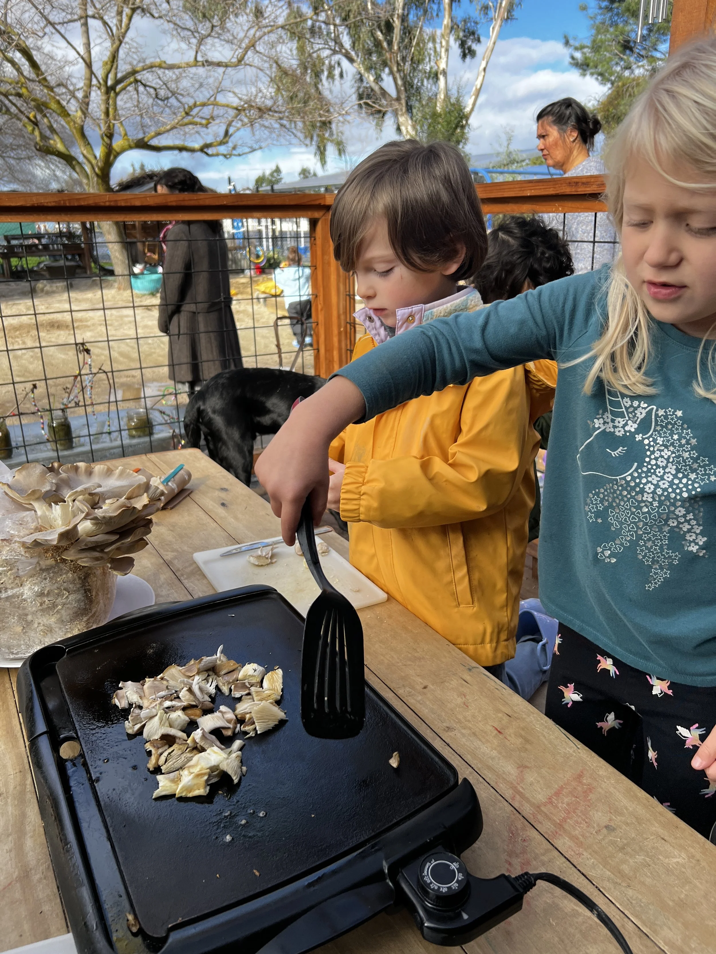 Outside: Cooking Mushrooms