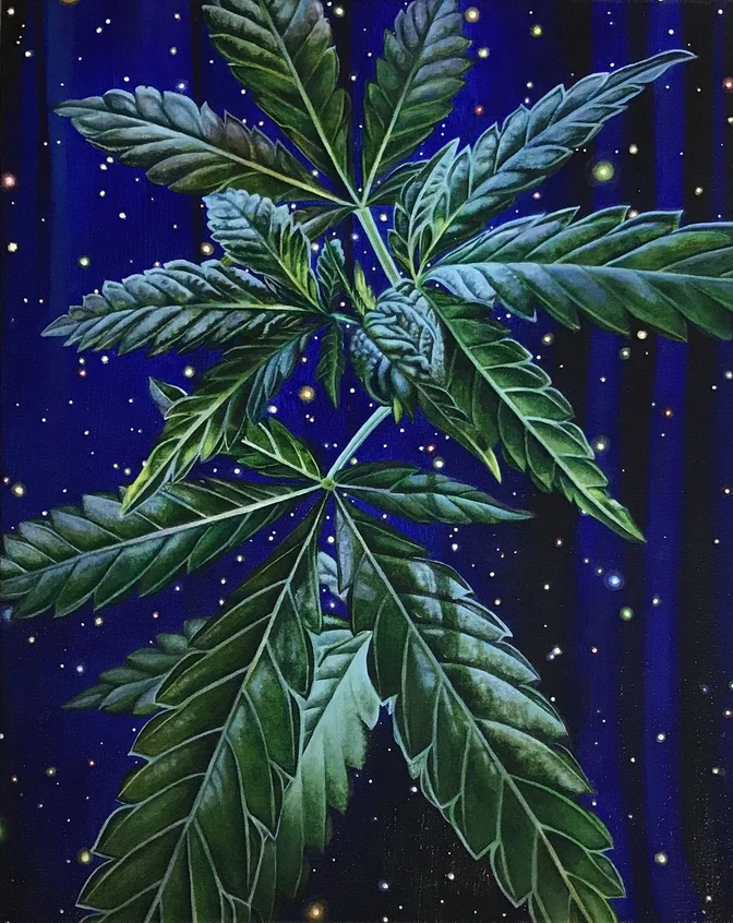 Tacky oil on canvas 20 x 16” 2019 Artist’s Note: The challenge I gave myself here was to come up with a traditionally low-brow subject matter and paint it so lovingly and appealingly that viewers would be moved. Thanks to Chelsea Combs for allowing me to use a reference photo of marijuana that she photographed.