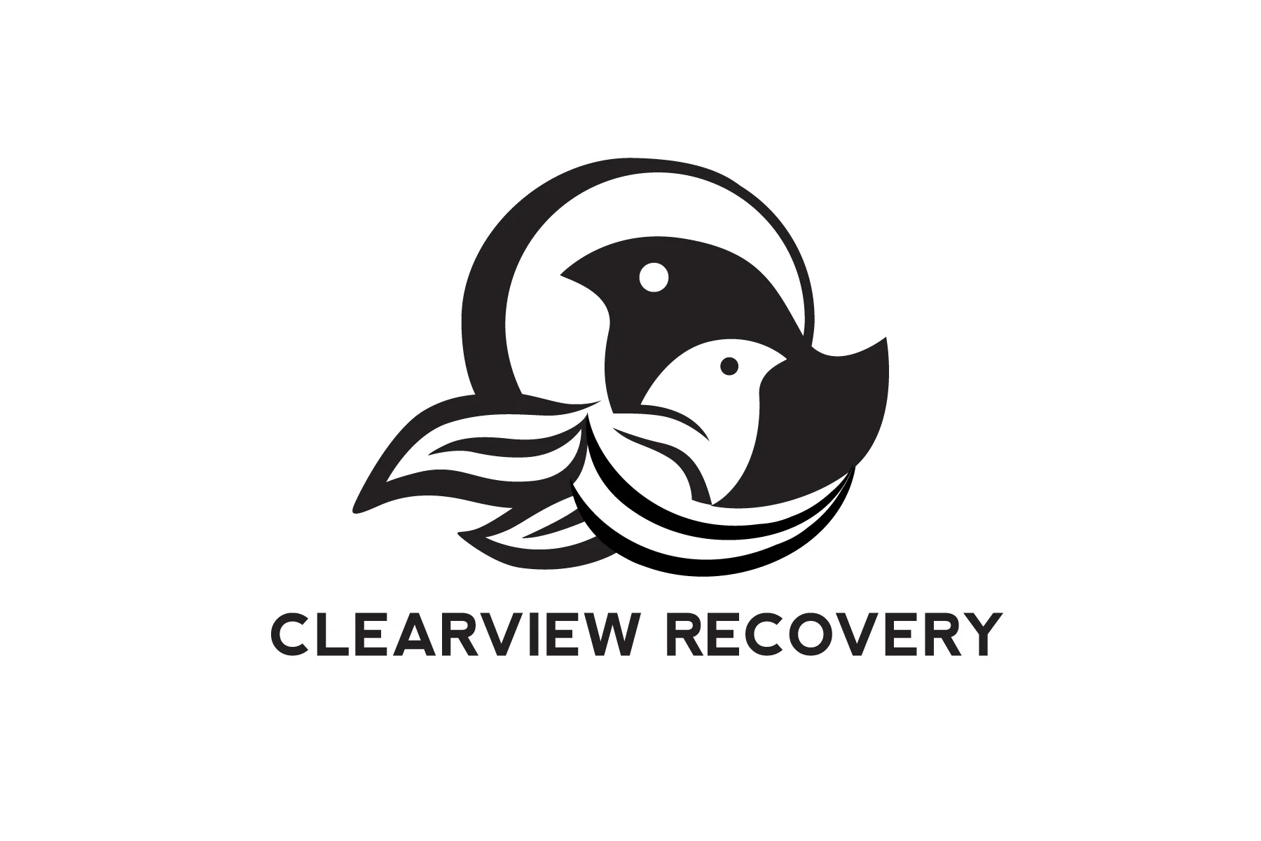 Clearview Recovery.jpg