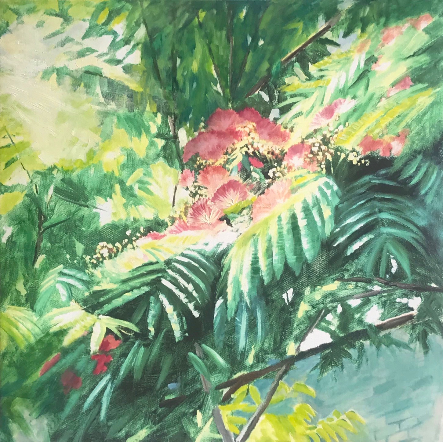 Non-Native; Albizia Julibrissin
