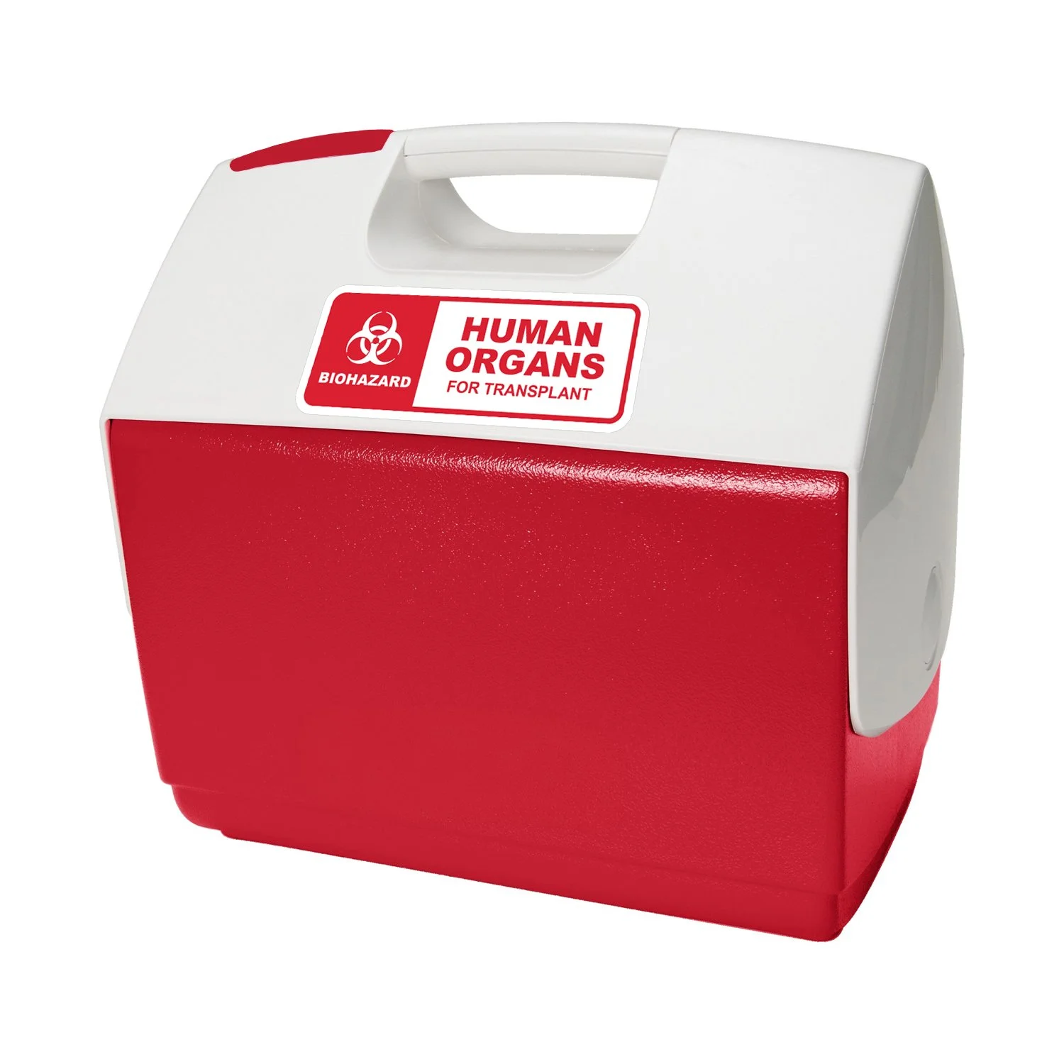 Cooler Mockup copy.jpg
