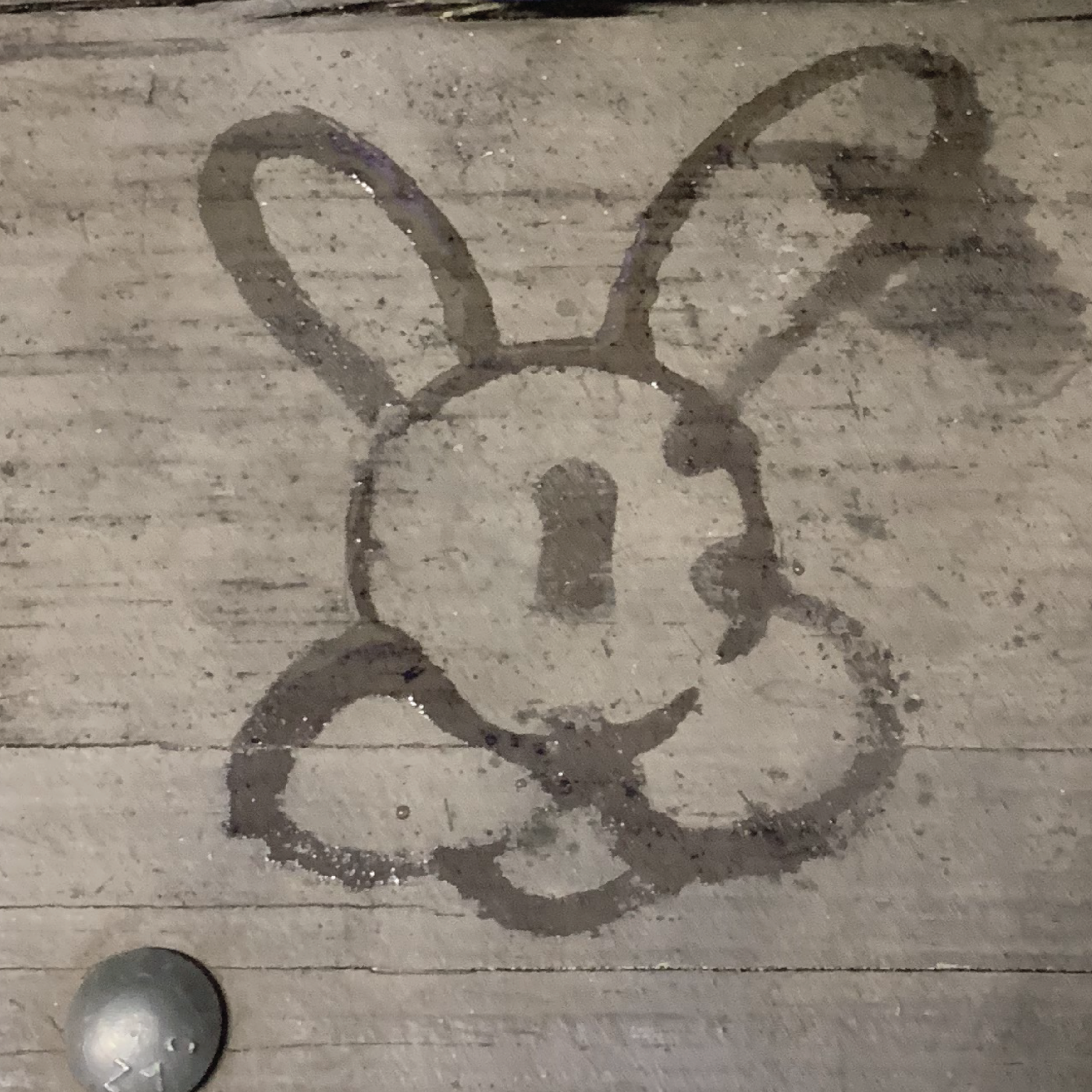 Rabbit+Final+Insta+water-01.png