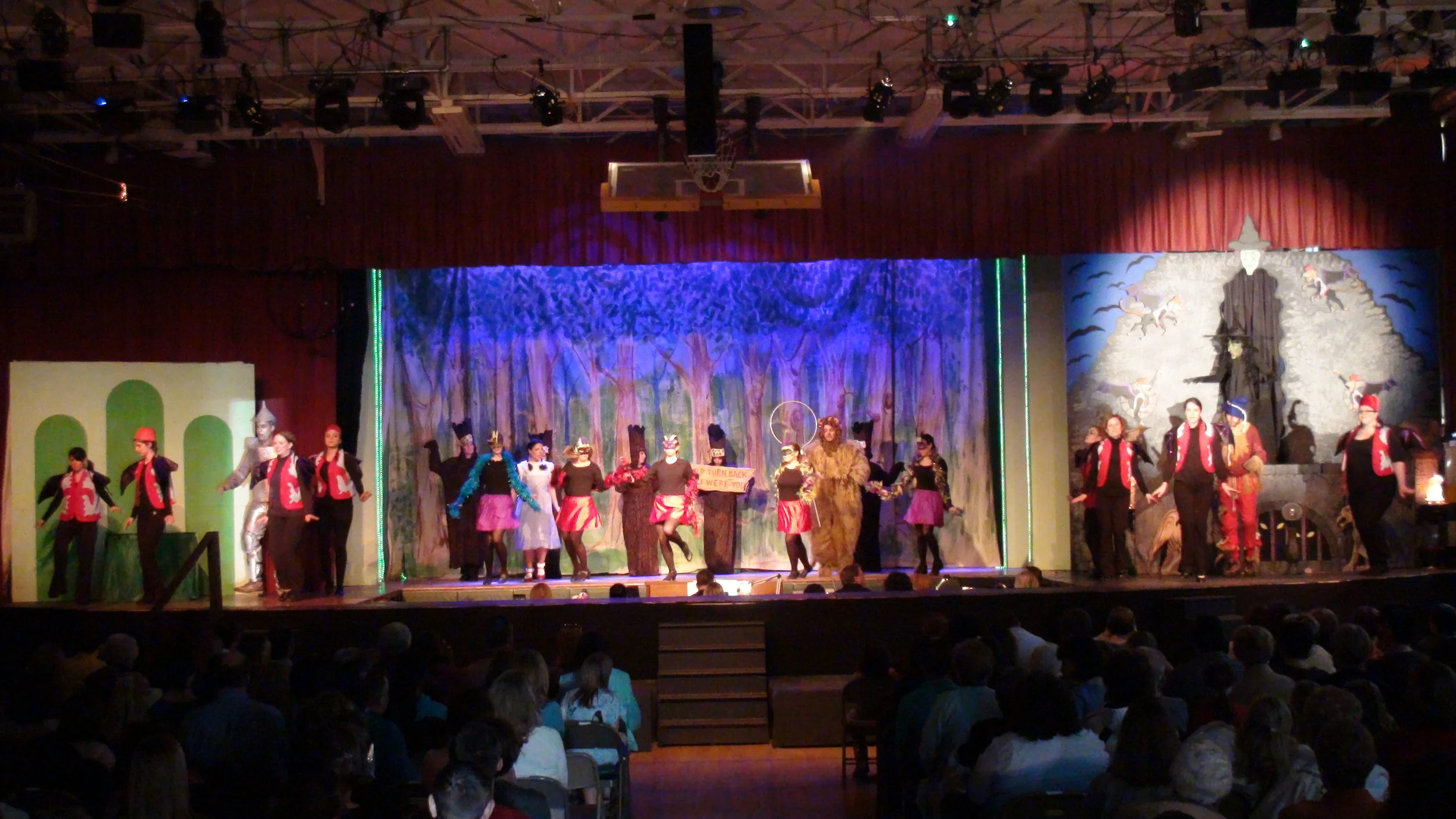 Oz video camera (156).JPG