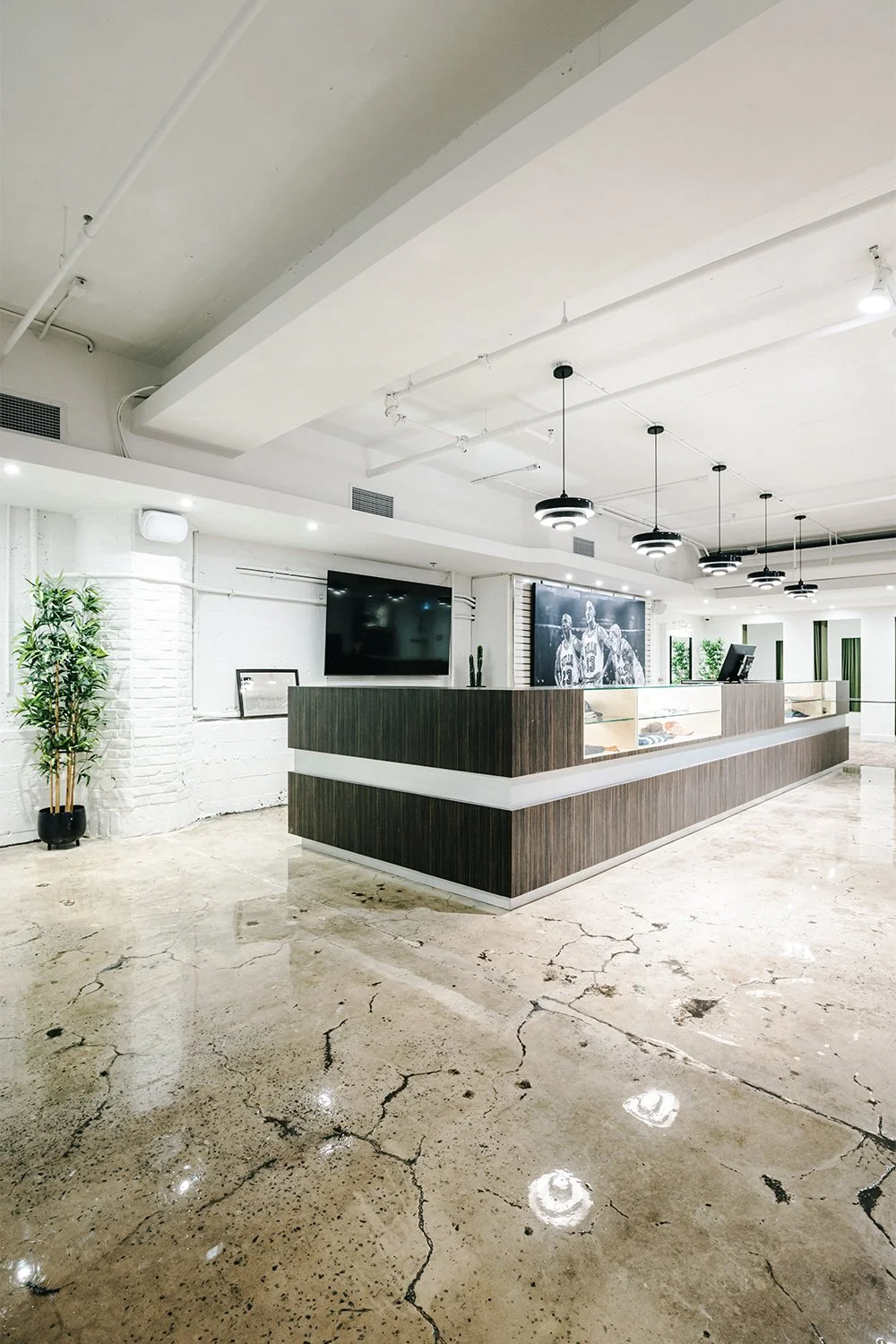 Retail service counter and open circulation designed by Finkel' for Empire’s flagship store