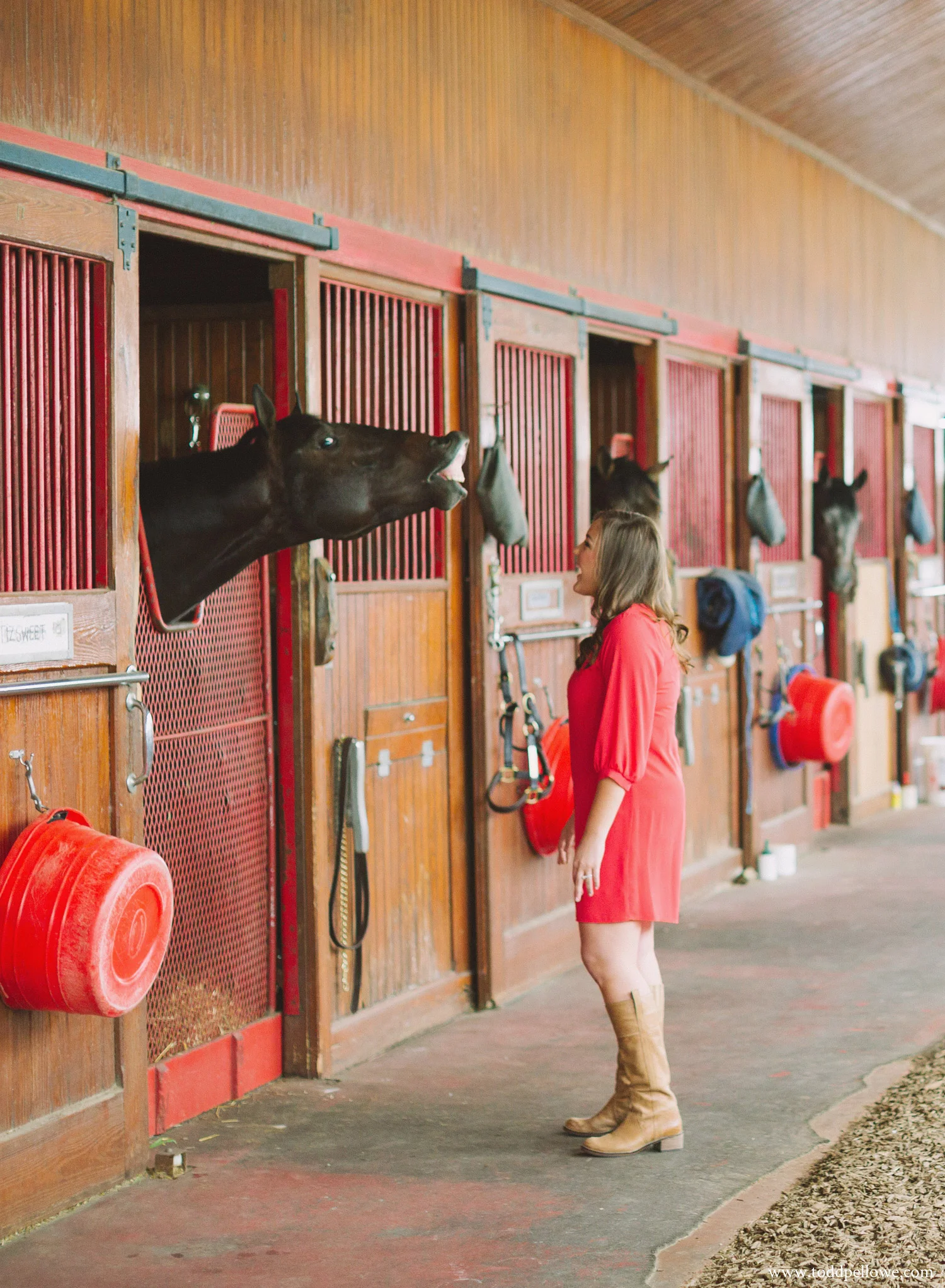 02-calumet-horse-farm-photography-022.jpg