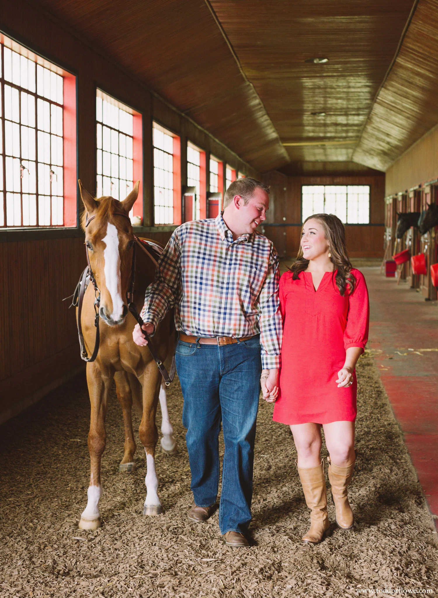 07-calumet-horse-farm-photography-042.jpg