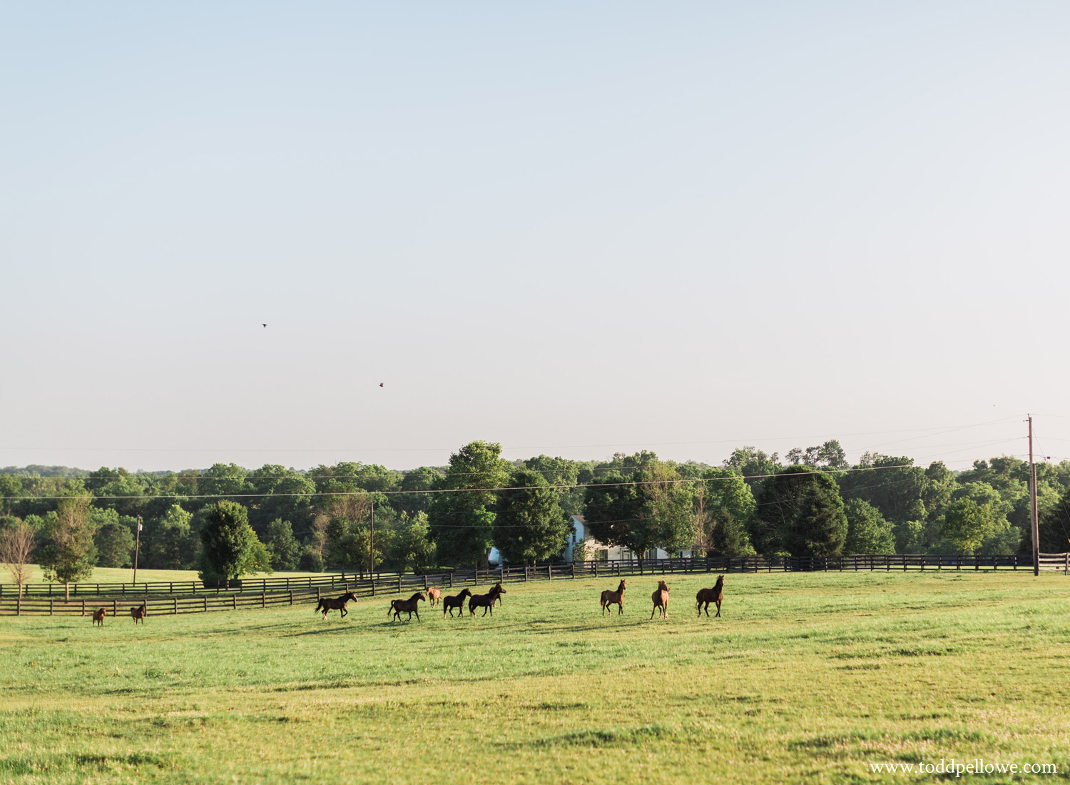 06-horse-farm-engagement-photography-115.jpg