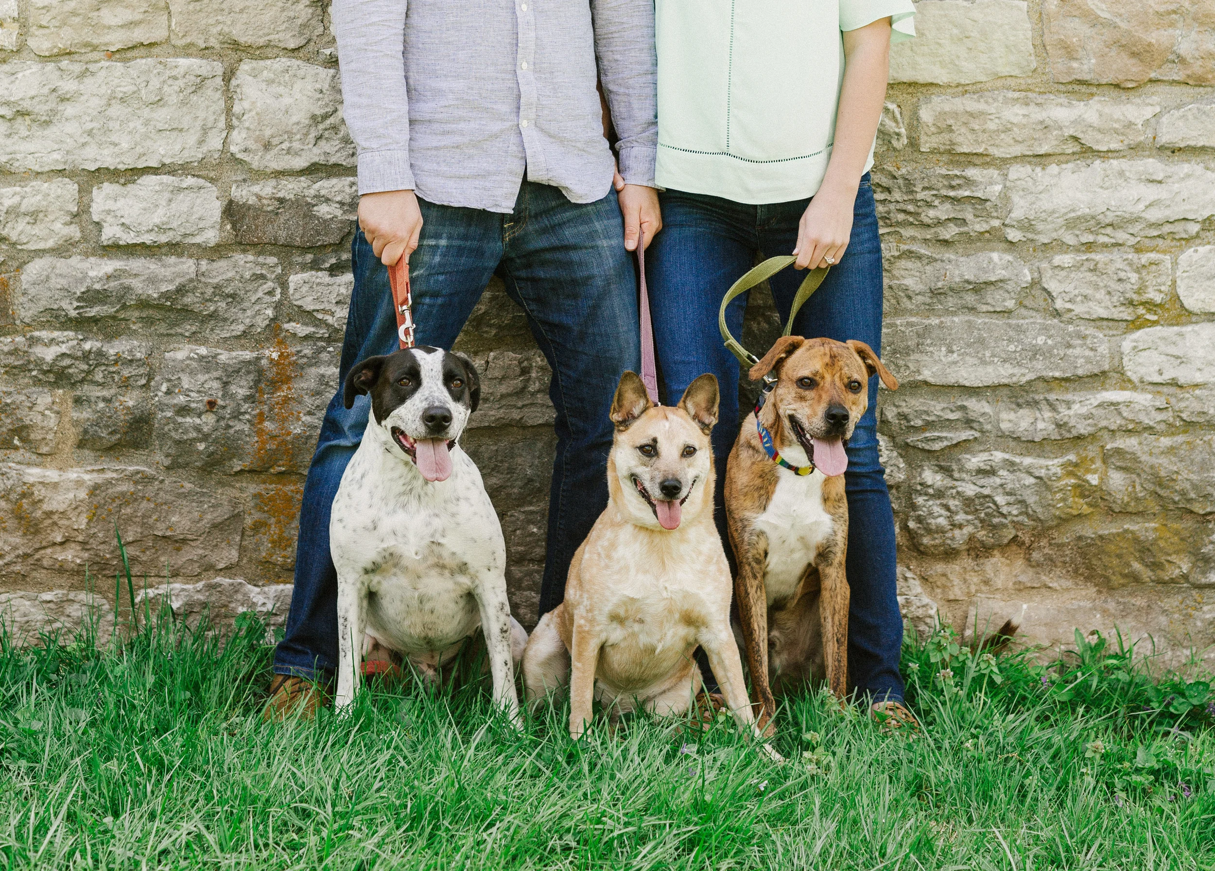 Eleanore + Justin (and the dogs!) at Locust Grove