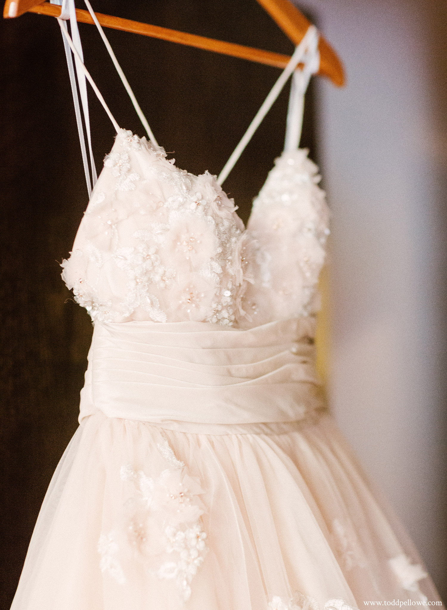 Stunning Louisville wedding dress