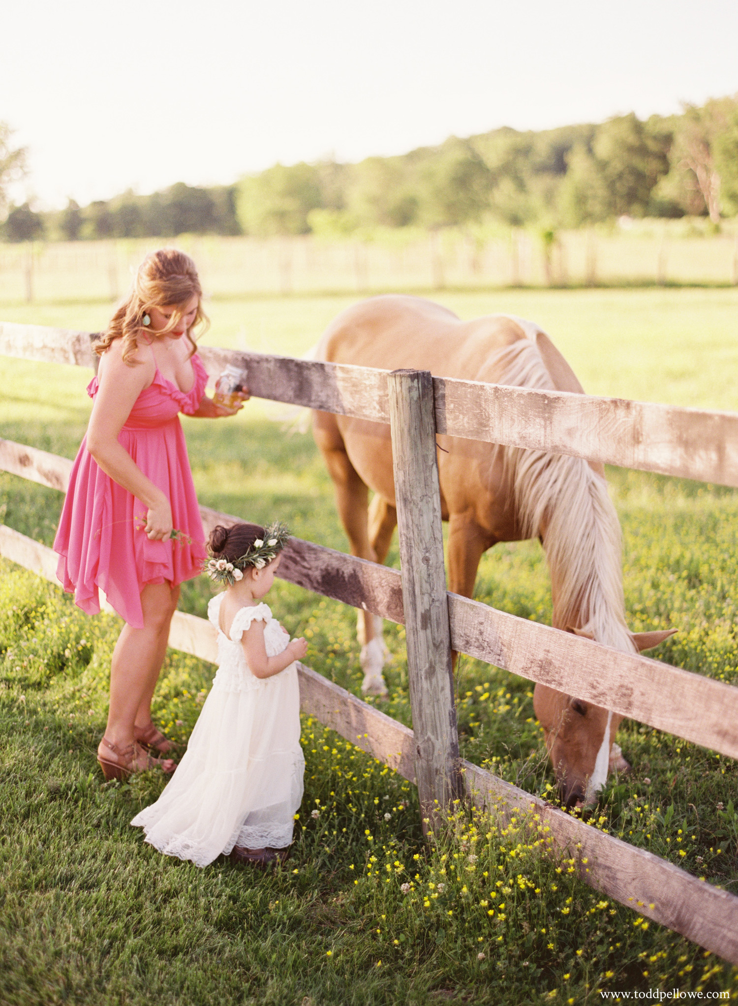 21-gingerwoods-farm-wedding-photography-008.jpg