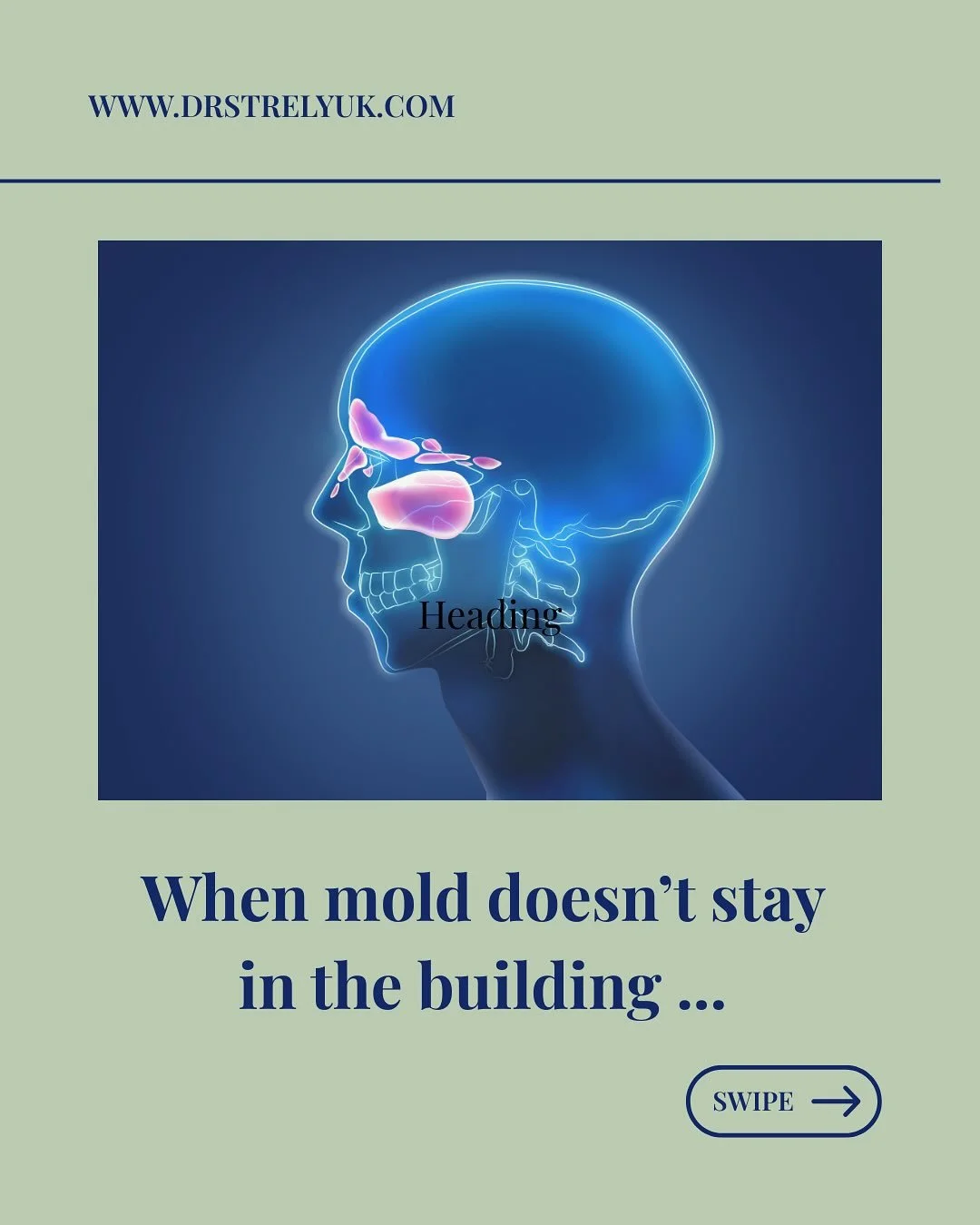 Did mold move into your sinuses? #MoldColonization

After living in a moldy environment, certain fungal species can take up residence in your sinuses. And stick around even after you leave or remediate the place. 

These molds may produce mycotoxins 