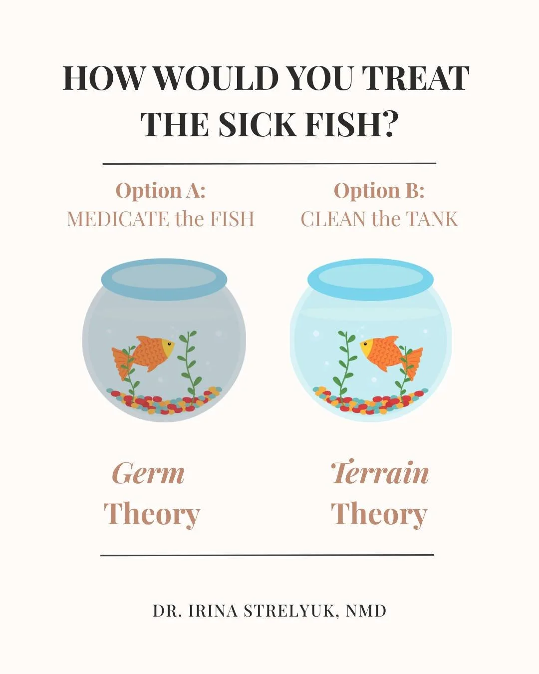 When it comes to your health, which option would choose? 

Option A: medication for symptoms 

or 

Option B: care that addresses the environment 

#drstrelyuk #chronicillness #germtheory #terraintheory