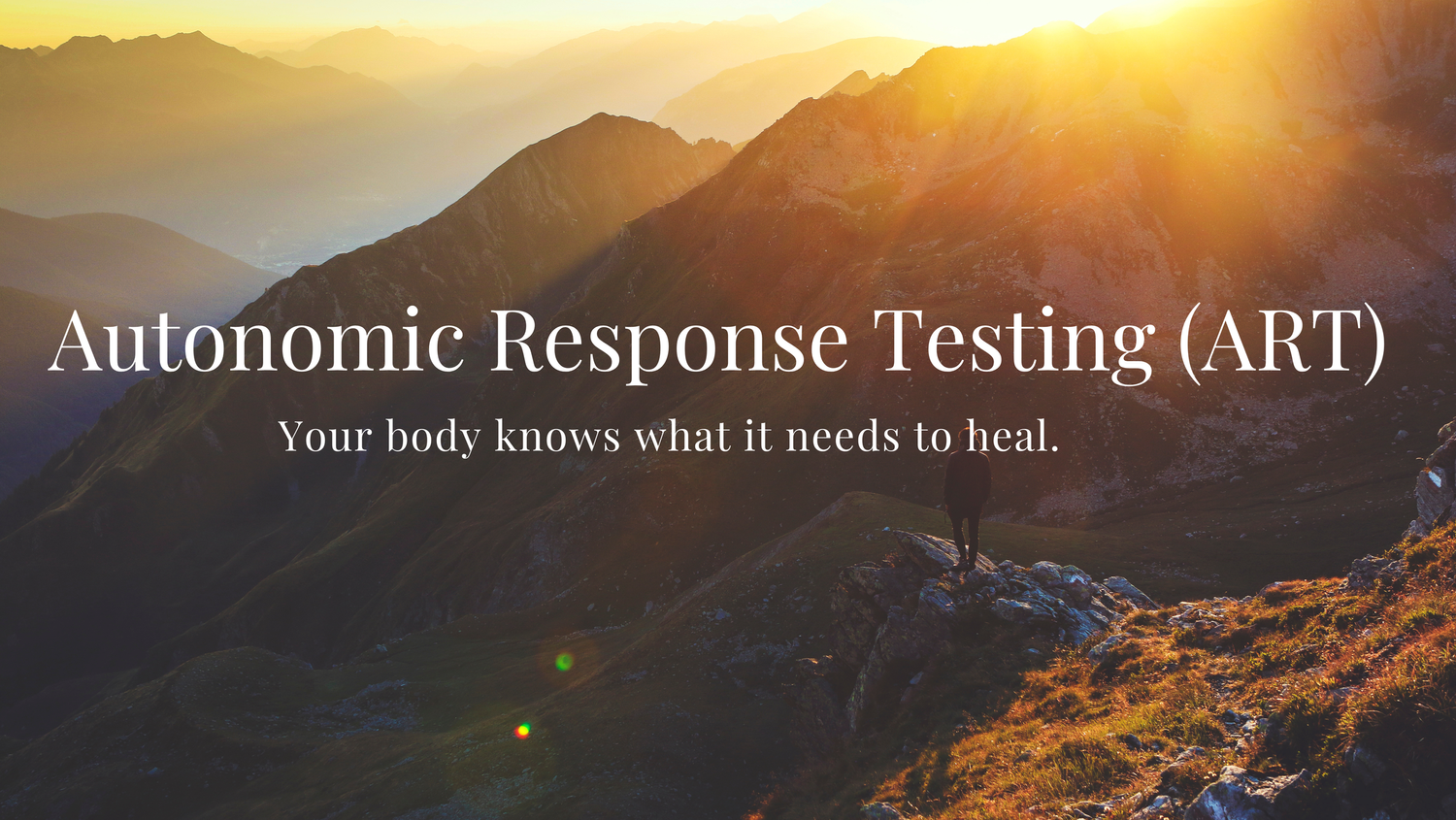 Dr. Irina Strelyuk - Telehealth Holistic Medicine