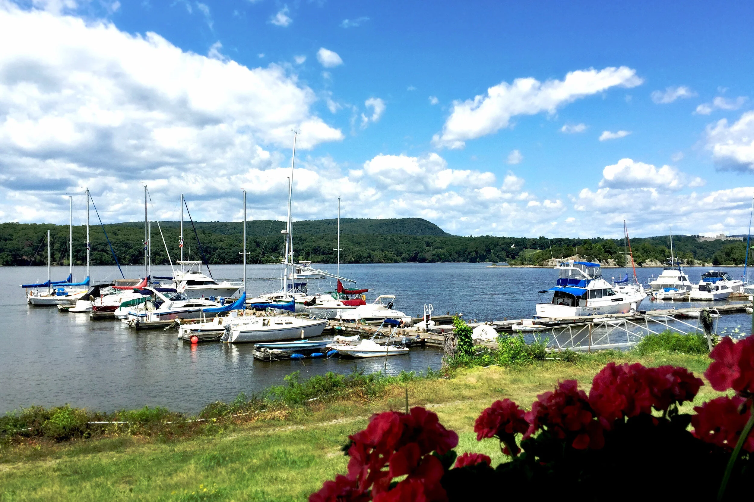 river_view_by_mike_quick2b.jpg