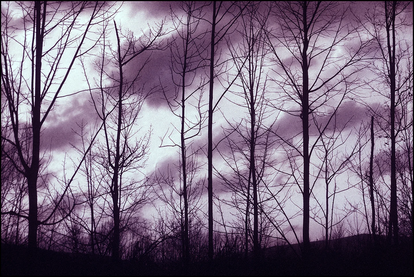 Catskills in November