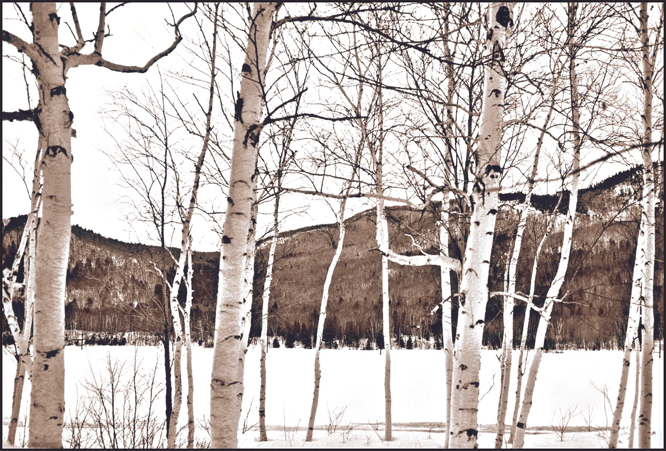 Thompson Hollow