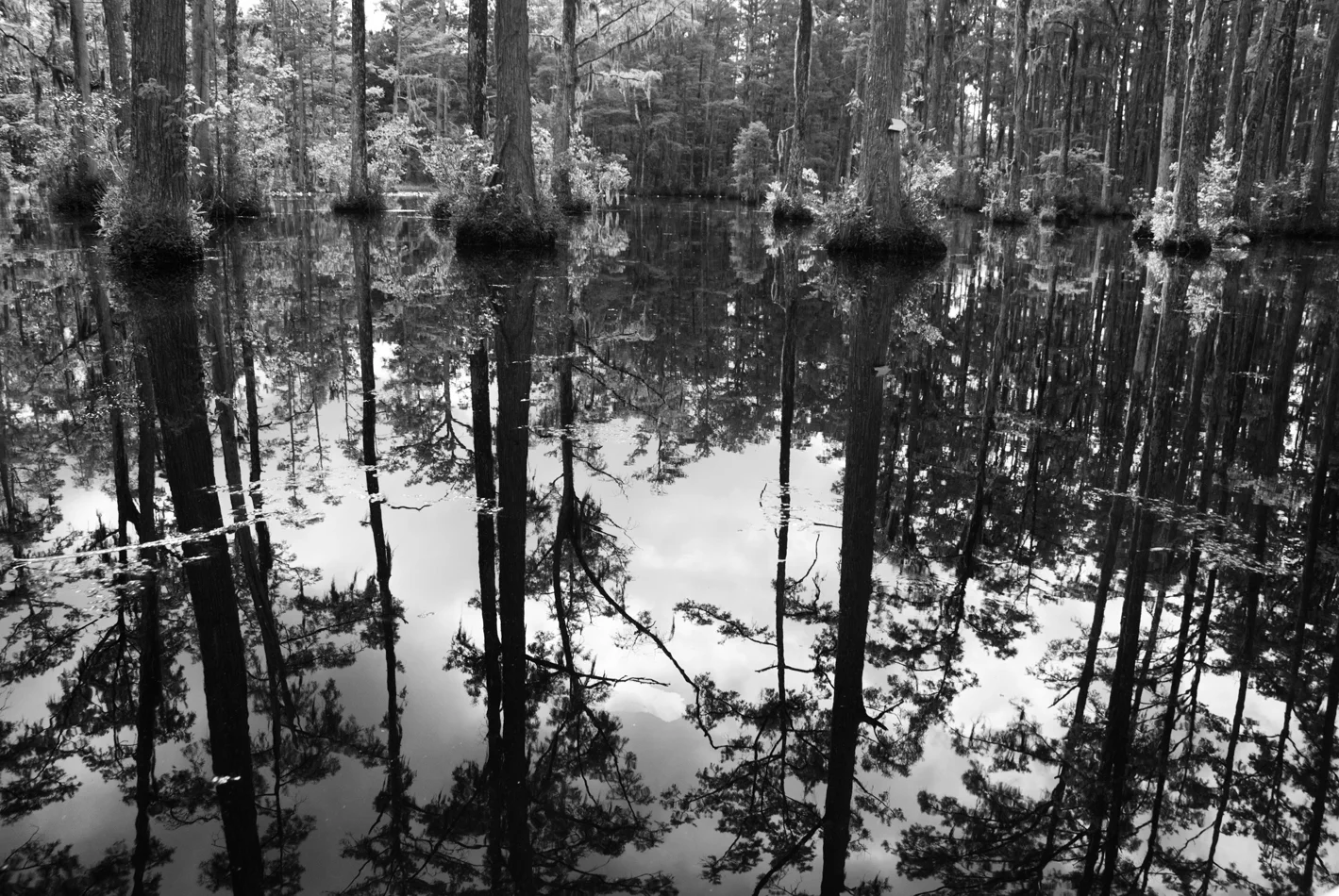 Bayou, South Carolina