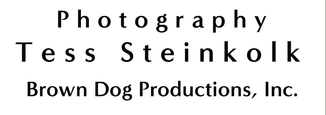 Tess Steinkolk Photography