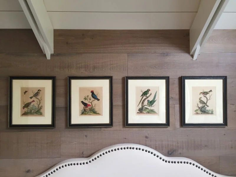  Shannon VanTassel discovered these refined hand drawn birds prints by naturalist George Edwards (1755) at the 2016 A + M Show, from the dealer Fine Antique Prints. Shannon says “We had just renovated our master bedroom and I was looking for the perf