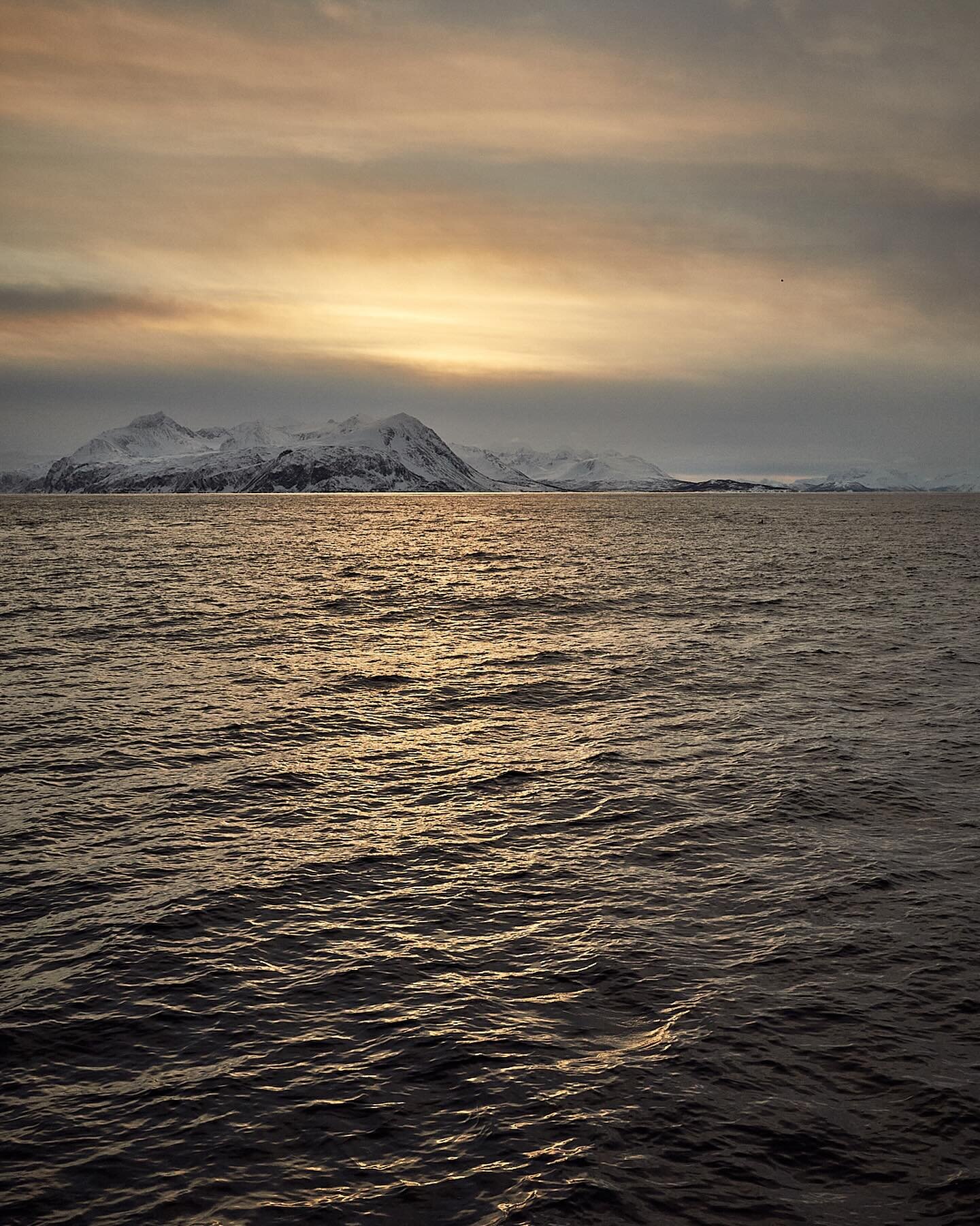 Golden Hour. Norway, Around 350KM above the Arctic Circle, I captured these fascinating Orca pods swimming freely in the northern Norwegian waters.by @marinosallowicz
#Norway #Orca #OrcaPods #Marine #WildNorway #OrcaEncounter #ChasingWhales #goldenho