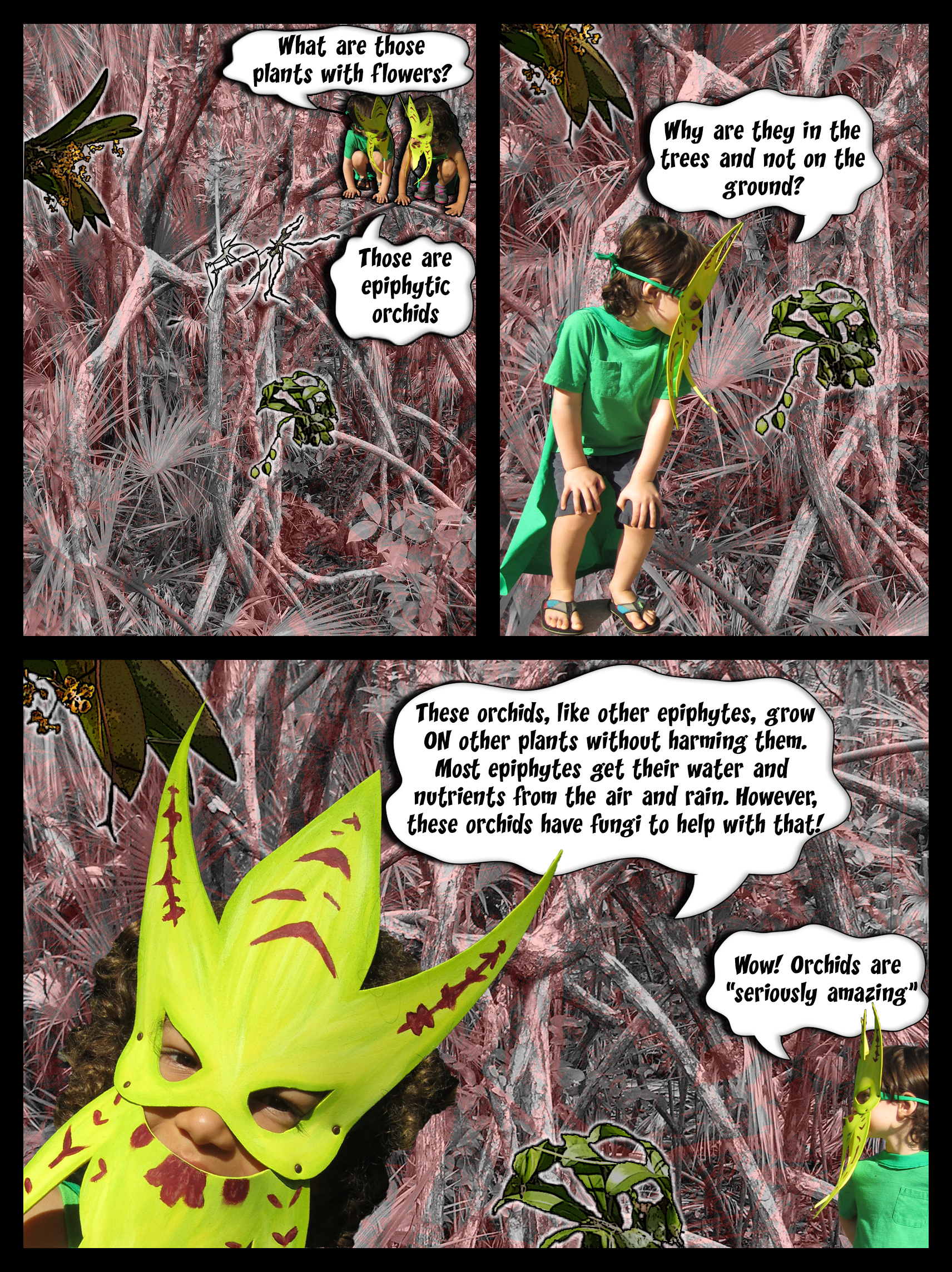 Epiphytes Comic.jpg