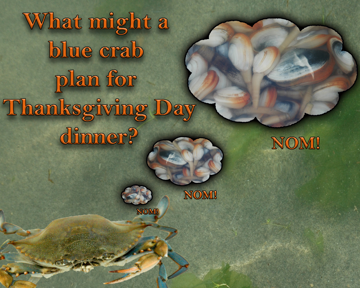 Blue crab TDay day dream meme.jpg