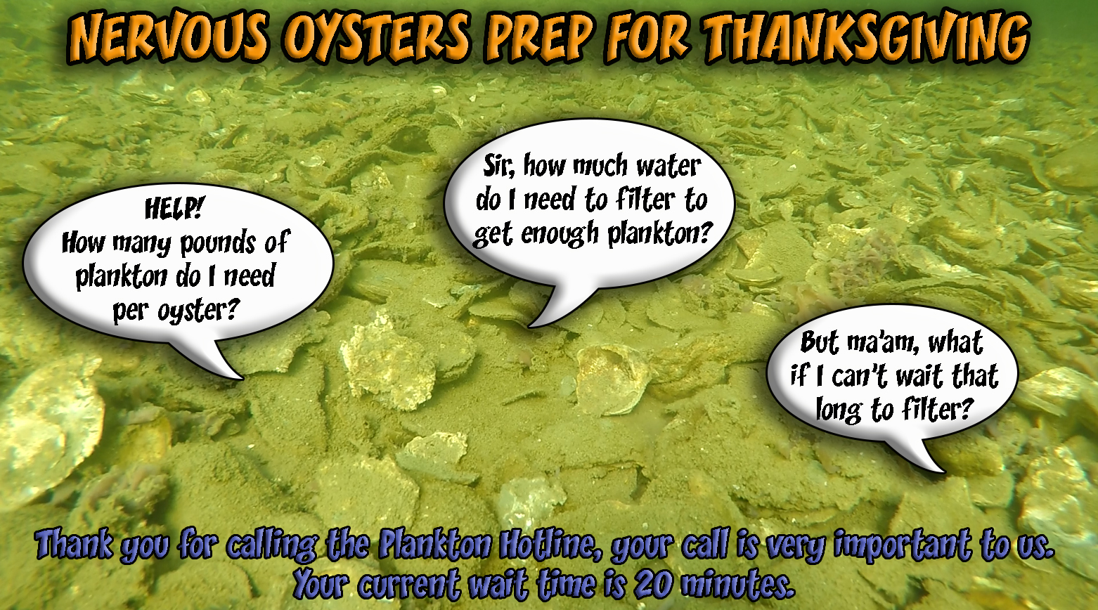 Oyster Thanksgiving Hotline.jpg