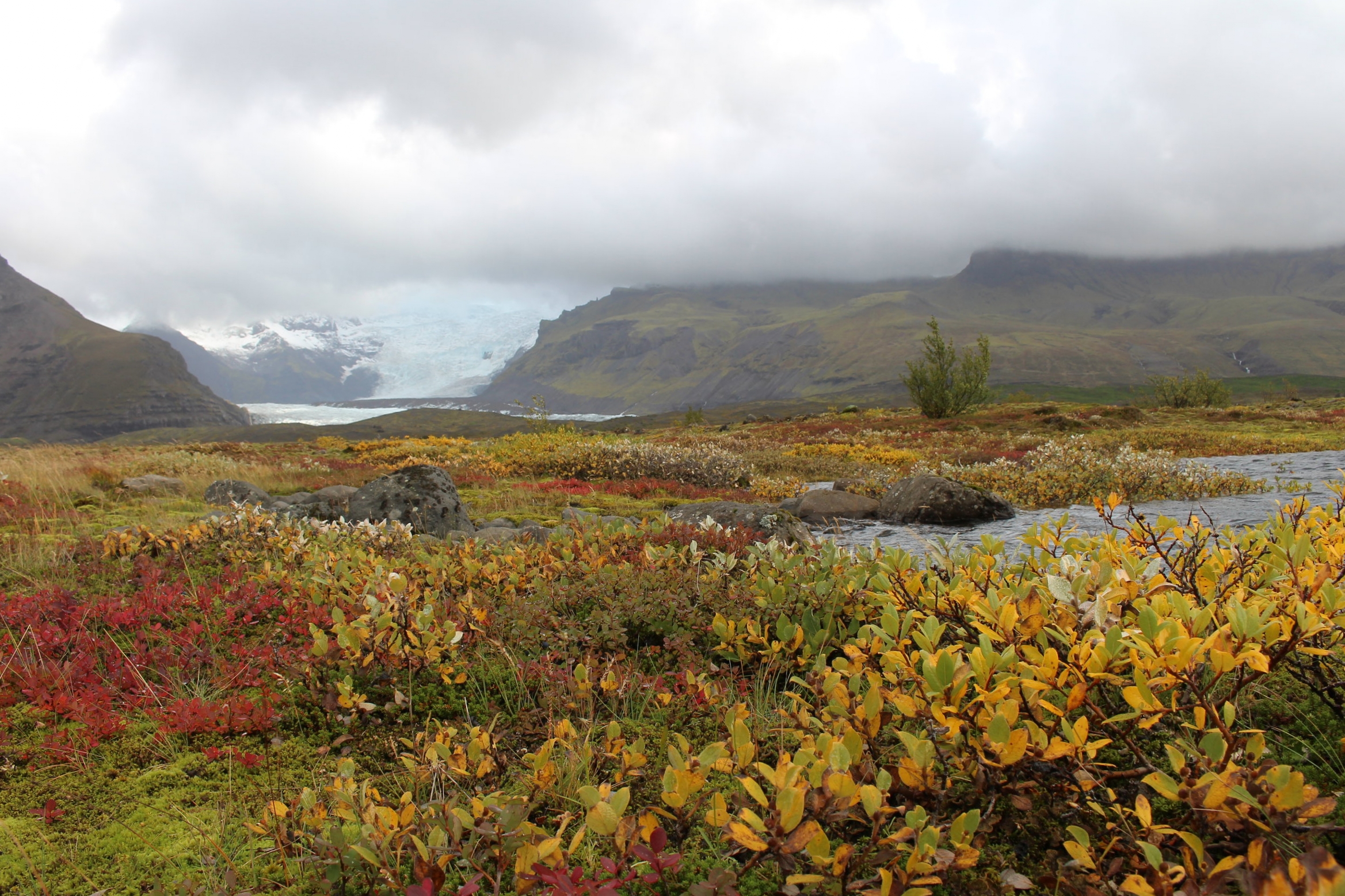 Glacier - Iceland