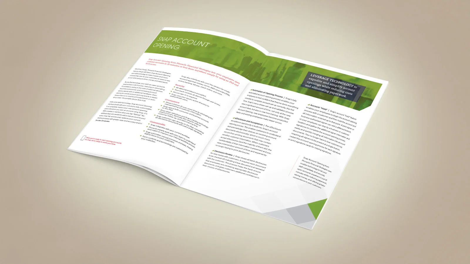 PIN_SnapAcctBrochure_open.jpg