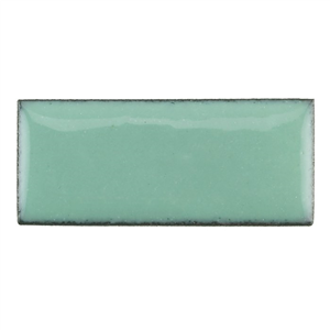 sea foam green .jpg