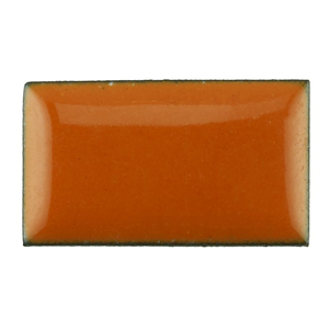 pumpkin orange.jpg